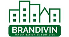 Brandivin logo